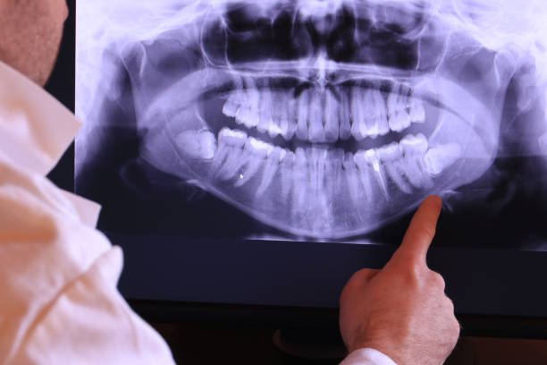 Best Emergency X-Rays and Diagnostics in Chase, PA